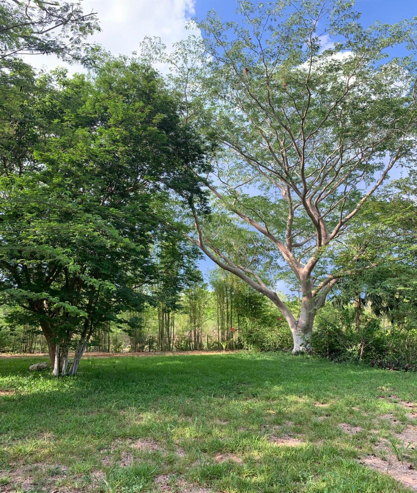 El Encanto - Hotel Boutique Chichen Itza Exterior photo